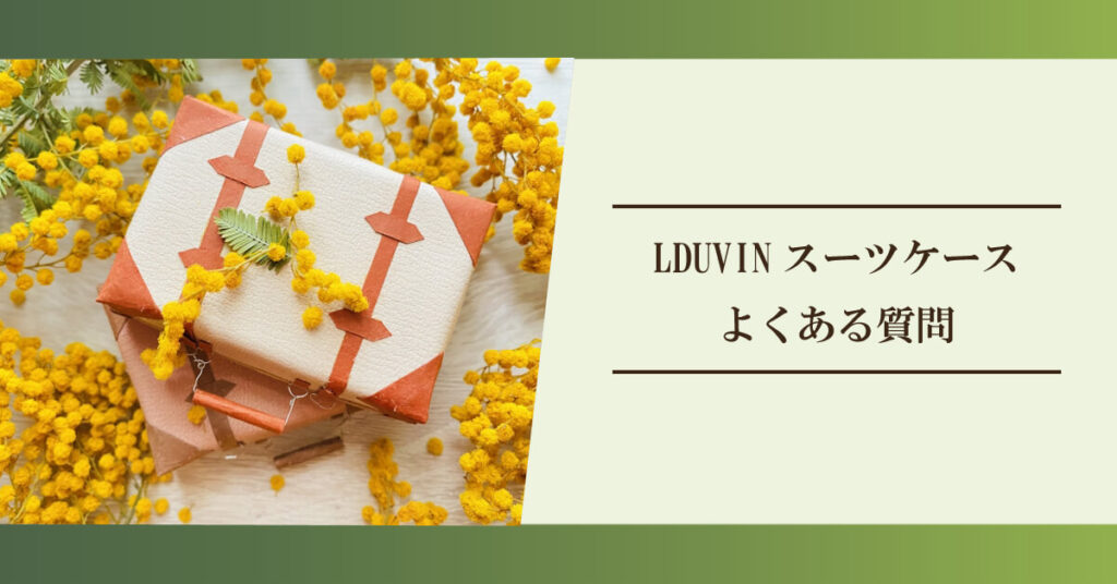 LDUVIN-kuchikomi08